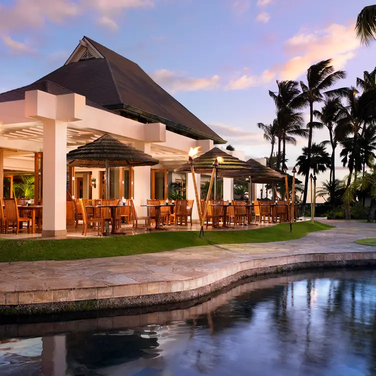 Coral Reef - Sheraton Maui，HILahaina