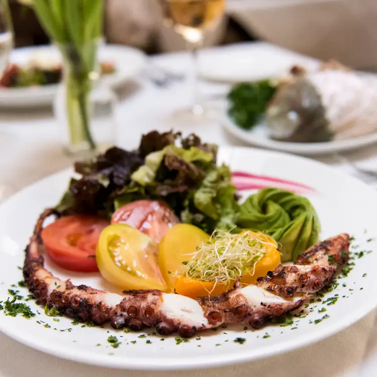 Mediterranean octopus grilled to perfection!  - Dubrovnik Restaurant, New Rochelle, NY