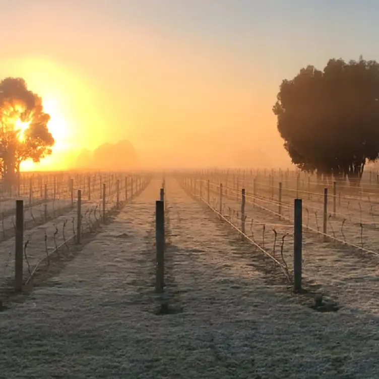 Lyons Will Estate, Lancefield, AU-VIC