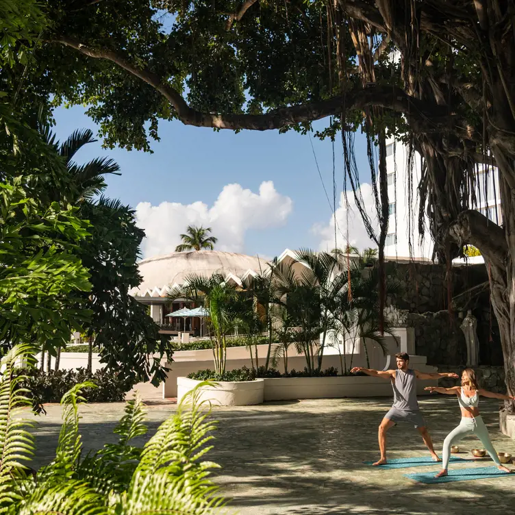BANYAN TREE GRILL - Fairmont El San Juan Hotel, Carolina, PR