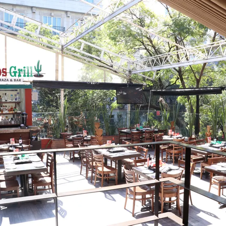 Asaderos Grill - Reforma, Mexico, CDMX