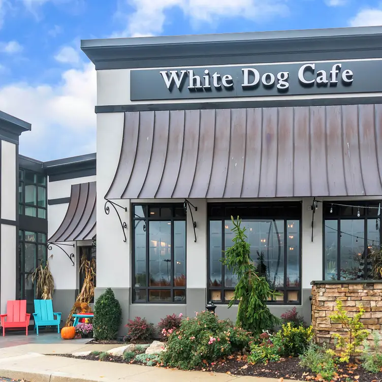 White Dog Cafe Glen Mills PA Glen Mills