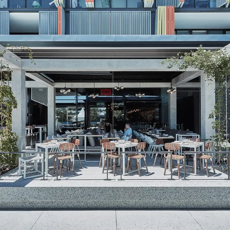 OUTDOOR DINING AREA - BORN by Tapavino - Barangaroo AU-NSW Barangaroo