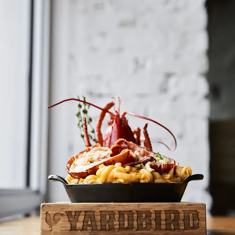 Lobster Mac & Cheese Lobster Mac & Cheese - Yardbird Table & Bar - Miami, Miami Beach, FL