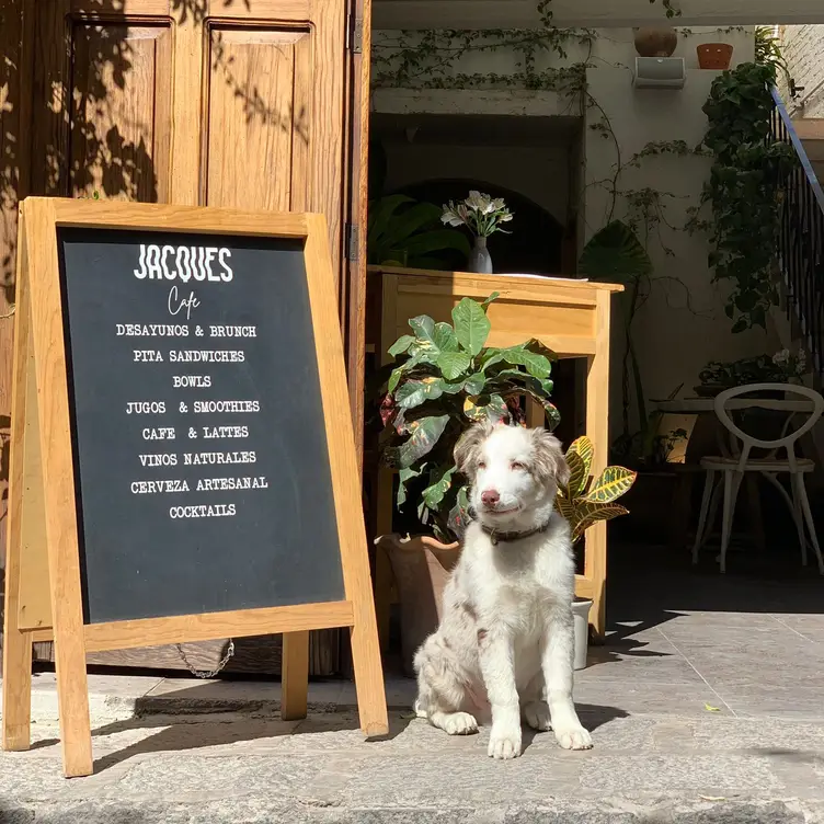 Jacques, San Miguel de Allende, GUA