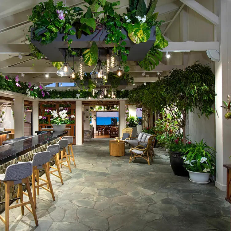Service Now - Banyan Tree, Lahaina, HI