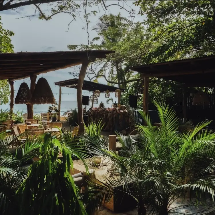 Perozah's private beach back patio - Perozah, Nosara, Provincia de Guanacaste