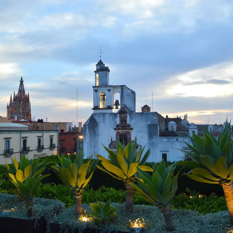 FATIMA 7 RoofTop, San Miguel de Allende, GUA