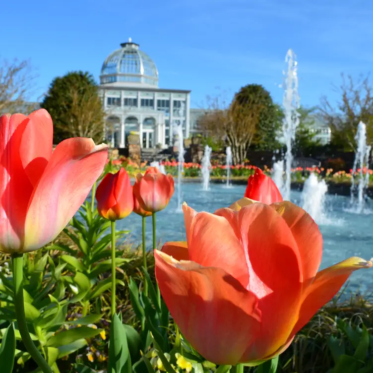Lewis Ginter Botanical Garden, Henrico, VA