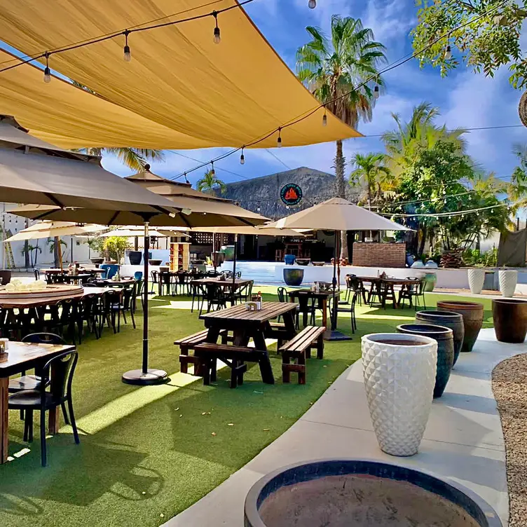 Restaurante -out side garden -playground for kids  - Cabo grill shop, Cabo San Lucas, BCS