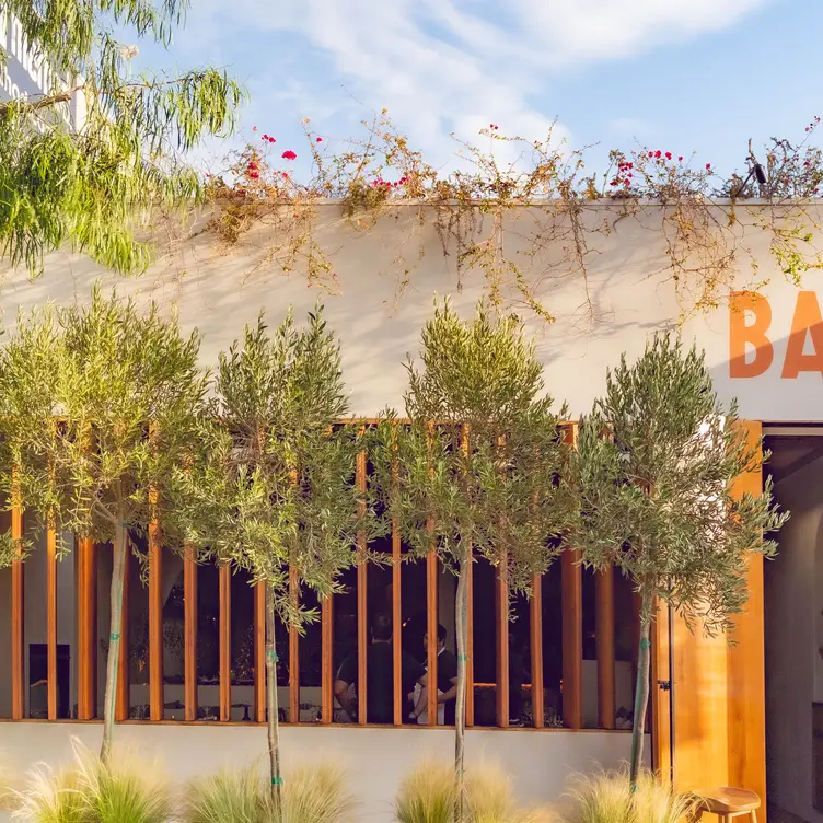 Chic neighborhood spot for small plates &amp; drinks - Bari CA Los Angeles