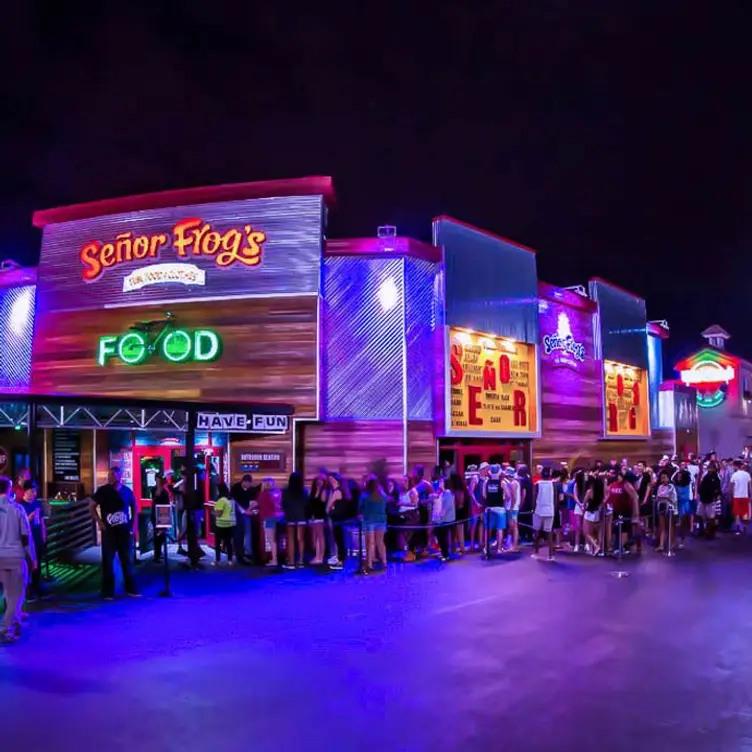 Señor Frog's Myrtle Beach Restaurant Myrtle Beach, SC OpenTable