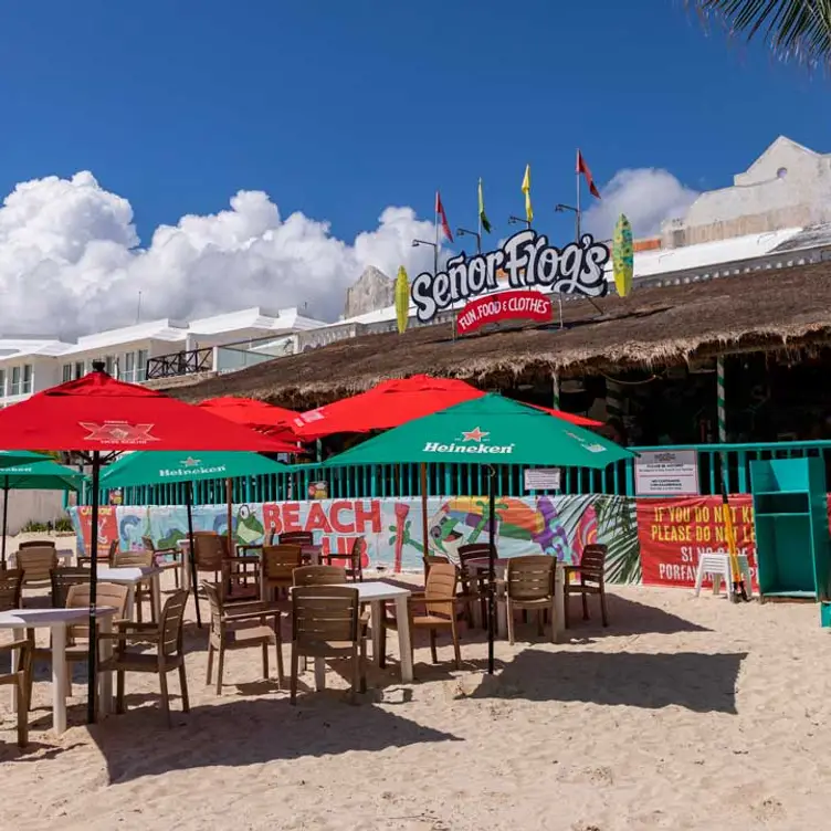 Frogs Playa - Señor Frog´s - Playa del Carmen Muelle, Playa del Carmen, ROO