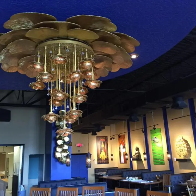 Blue Orchid Thai Cuisine- Riverside，FLJacksonville