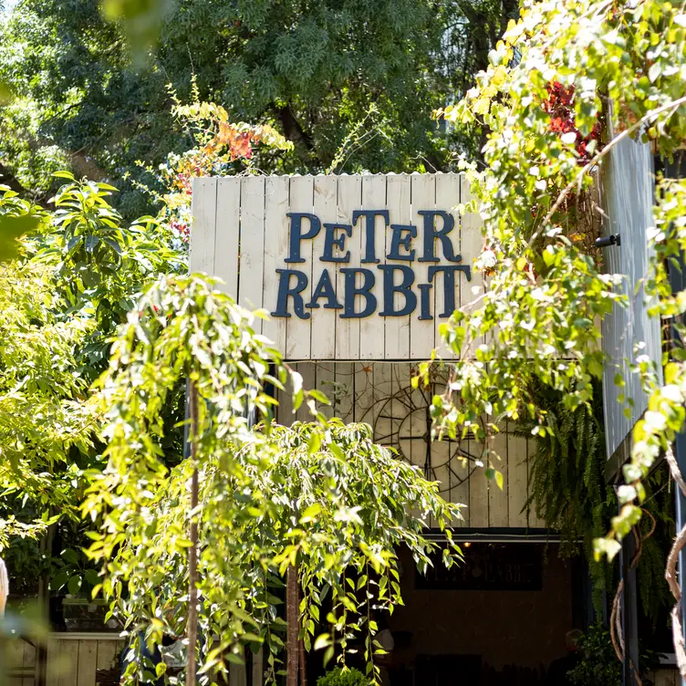 Peter Rabbit, Adelaide, AU-SA