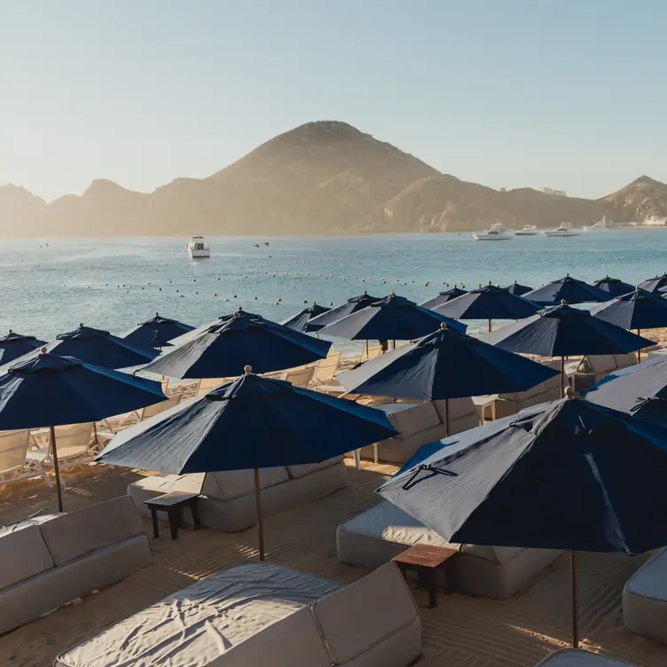 Retreat to the beat of Medano Beach - Corazón Beach Club, Cabo San Lucas, BCS