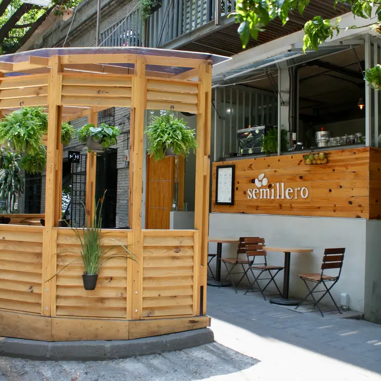 Semillero, Ciudad de México, CDMX