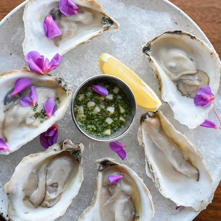 Shucked Oysters on Ice - Cliff House - Terrace, York, ME