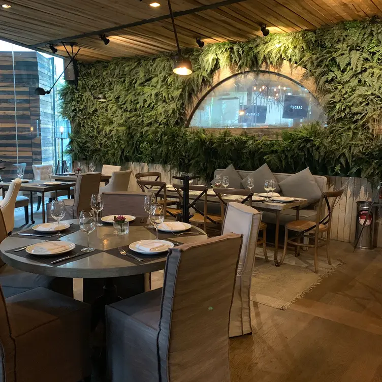 Restaurante Carolo Santa Fe - Carolo - Santa Fe, Ciudad de México, CDMX