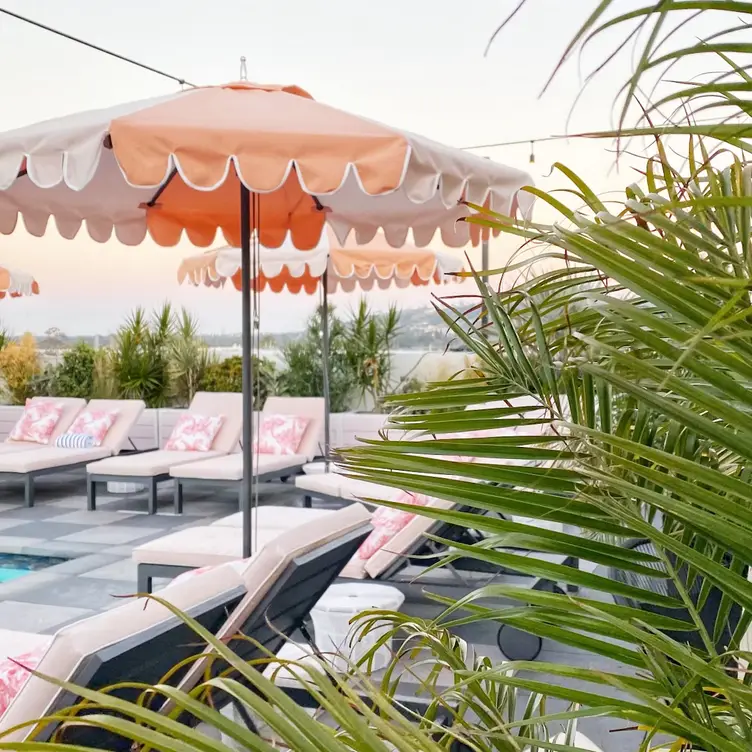 Your rooftop oasis awaits - Canopy Club, Culver City, CA