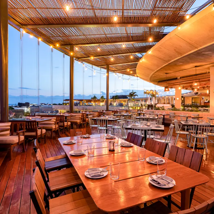 Alessia Rooftop Restaurant, Playa del Carmen, ROO