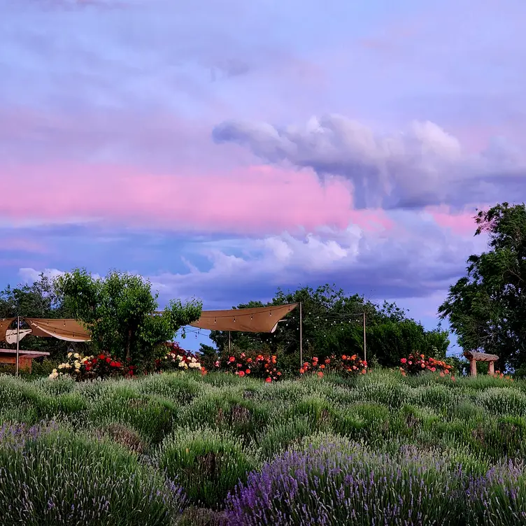 Old World Inspired, Unmistakably Washington
 - J Bell Cellars & Charr Restaurant, Zillah, WA