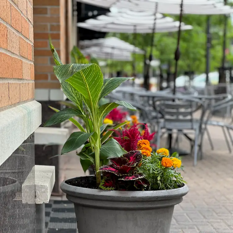 McCoy's Public House Restaurant St. Louis Park, , MN OpenTable