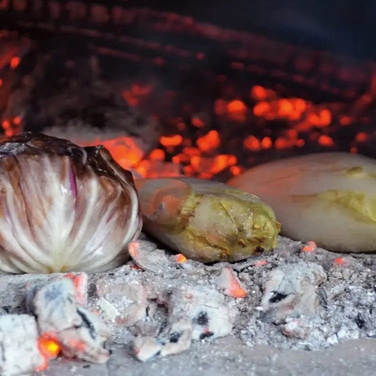 Slow food, organic, woody, palatable - Fuego - Fairmont, Playa del Carmen, ROO