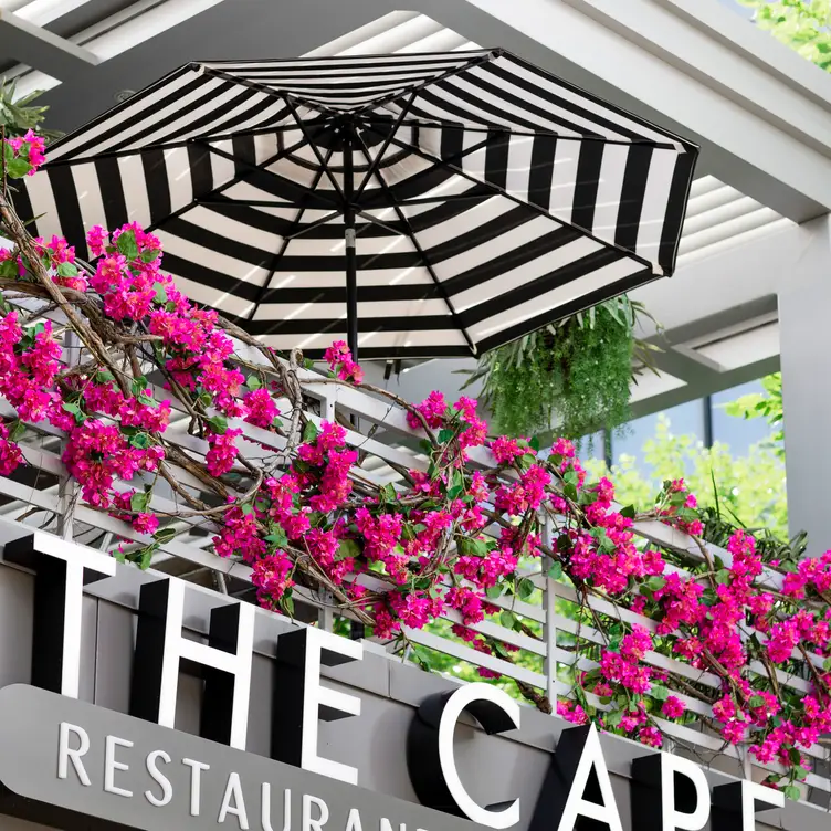 South African Coastal Dining - The Cape Restaurant & Beach Bar, Alpharetta, GA