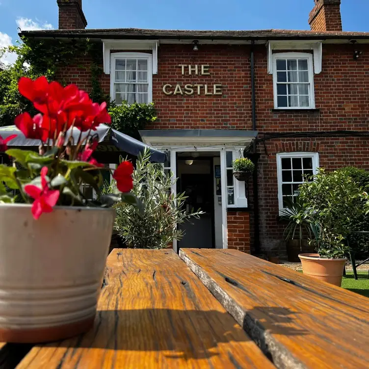 The Castle Inn, Chertsey, Surrey