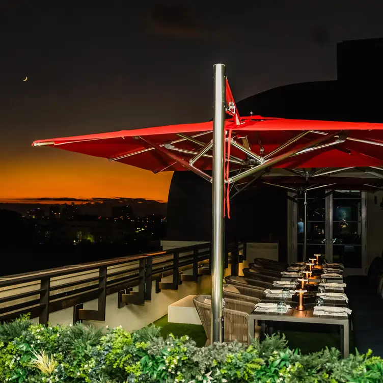 La Terrazza Rooftop Bar & Grill, Coral Gables, FL