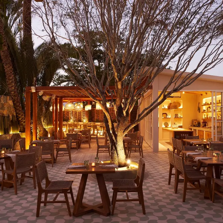 by Chef Guillermo J. Gómez - SAGE, San José del Cabo, BCS