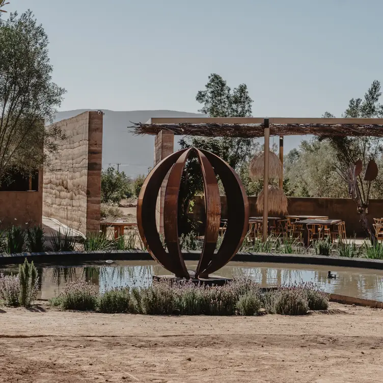 Oja, Valle de Guadalupe, BCN