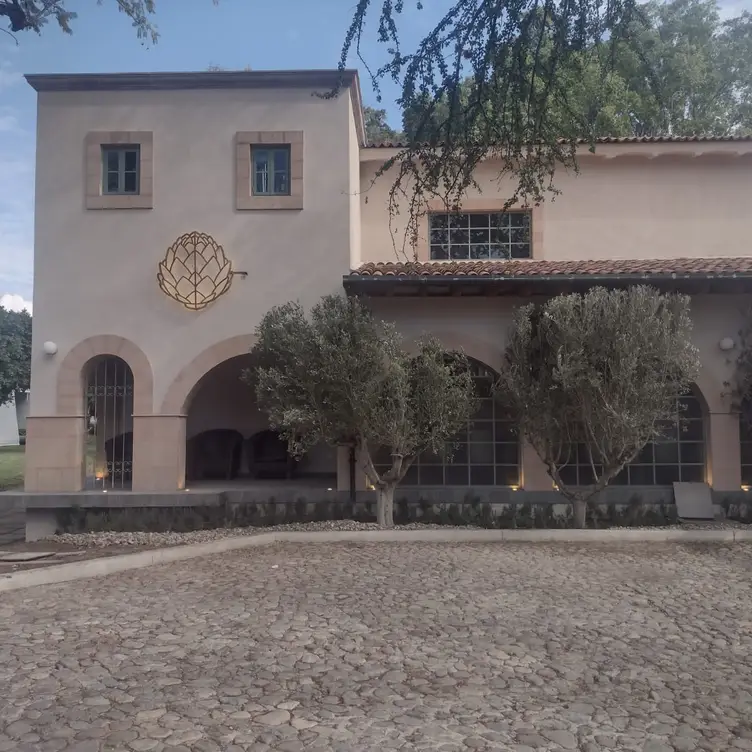 Corazon de Alcachofa - Pilarica, León, GUA