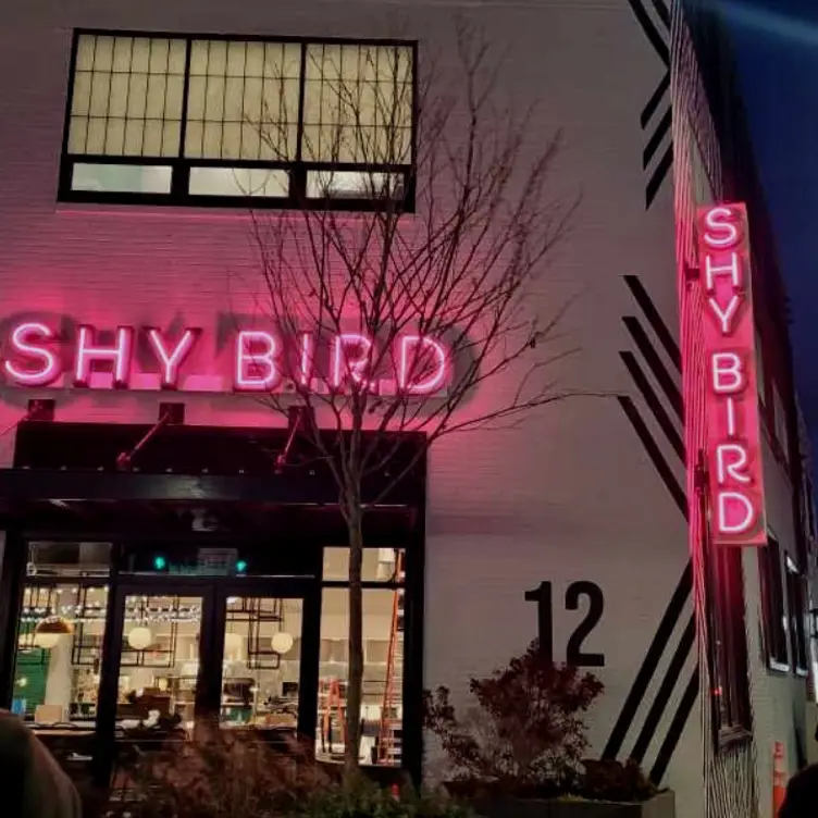 Shy Bird - South Boston, Boston, MA