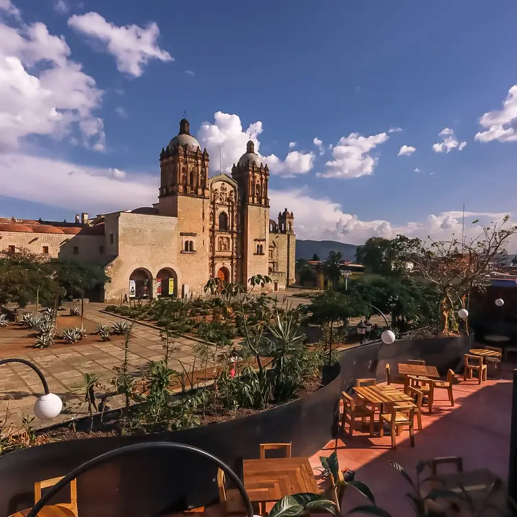 Comida de autor, sabores únicos, cocina de fuego. - Cobarde Oaxaca, Oaxaca de Juárez, OAX