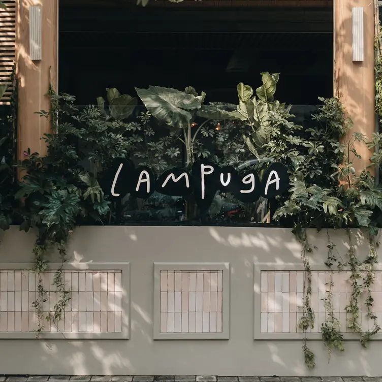 Lampuga Polanco - Lampuga Polanco, Ciudad de México, CDMX