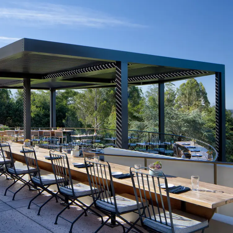 Santa Cruz restaurant with a view - The View, a Treeside Restaurant, Santa Cruz, CA