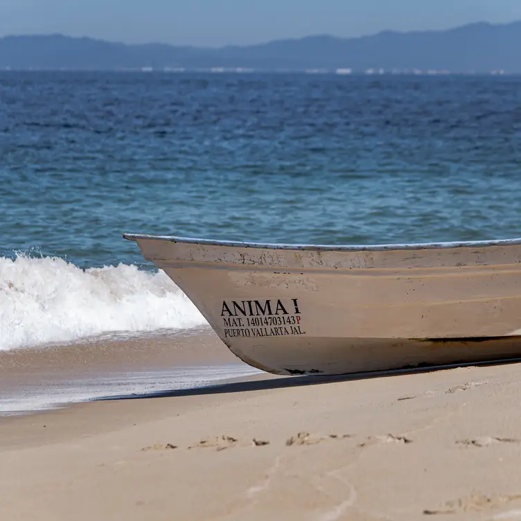 Ánima PV, lo mejor en comida local y afro house. - Ánima Beach Club，GROBajos del Ejido