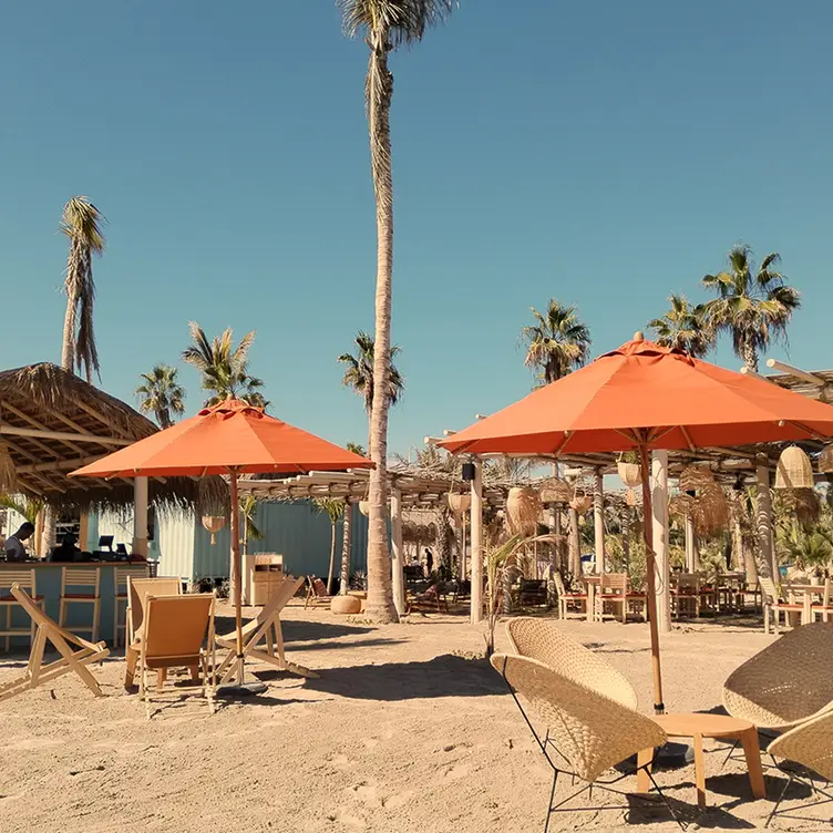 Veleros Beach Club, San José del Cabo, BCS