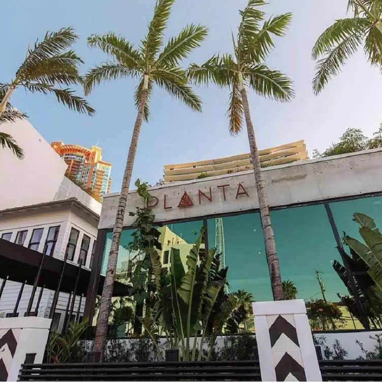 PLANTA - South Beach FL Miami Beach