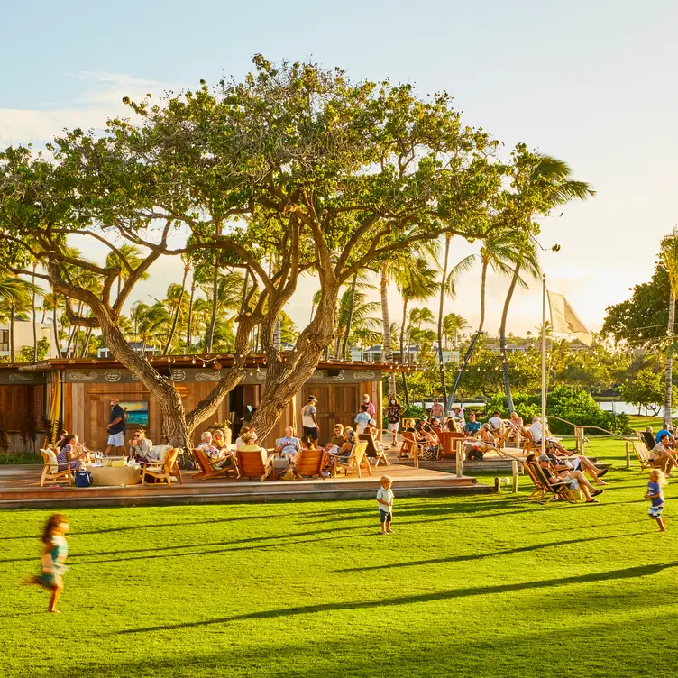 Surf Shack HI Waimea