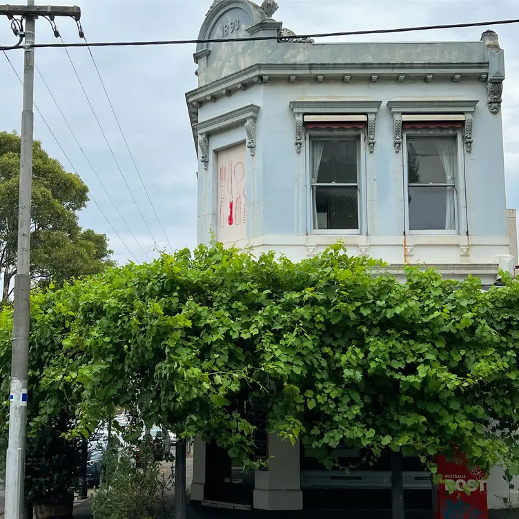 Vines - Little Andorra, Carlton North, AU-VIC