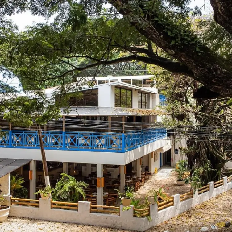 Café Del Sol, Potrero, Provincia de Guanacaste