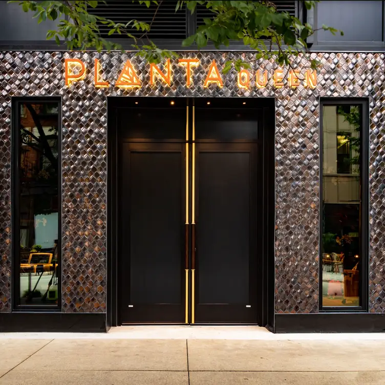 PLANTA - Queen，ILChicago