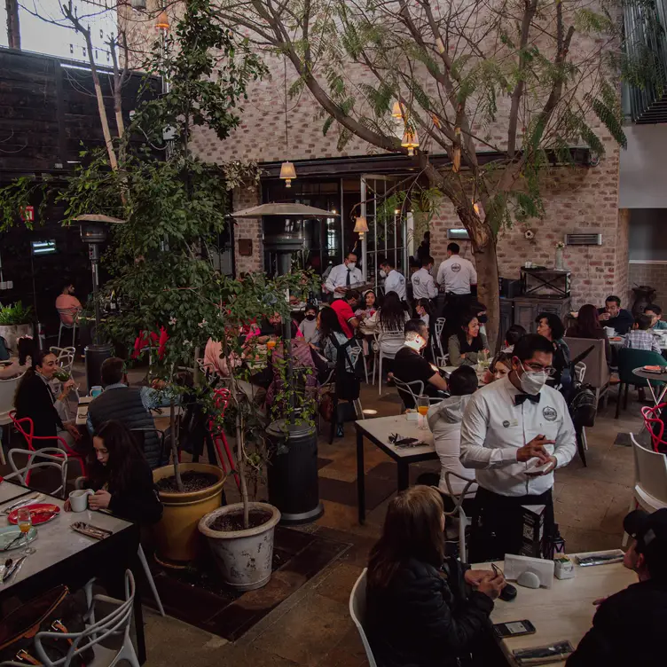 Disfruta del ambiente natural y estilo inigualable - Orangerie Restaurant - Bar, León, GUA