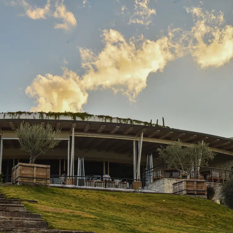 ROOFTOP NIDO, Parras de la Fuente, COA