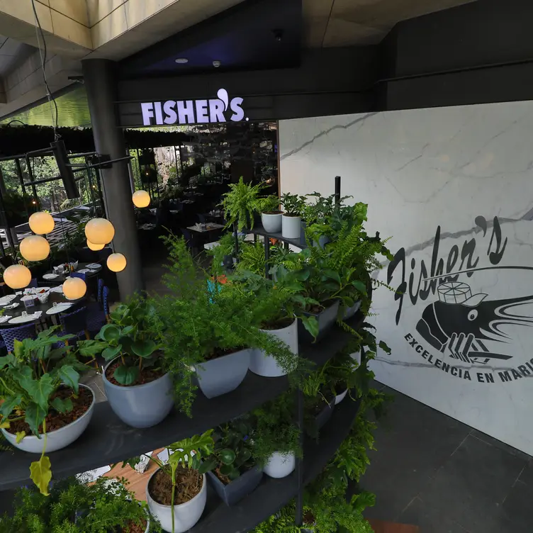 Fisher's - Oasis, Ciudad de México, CDMX
