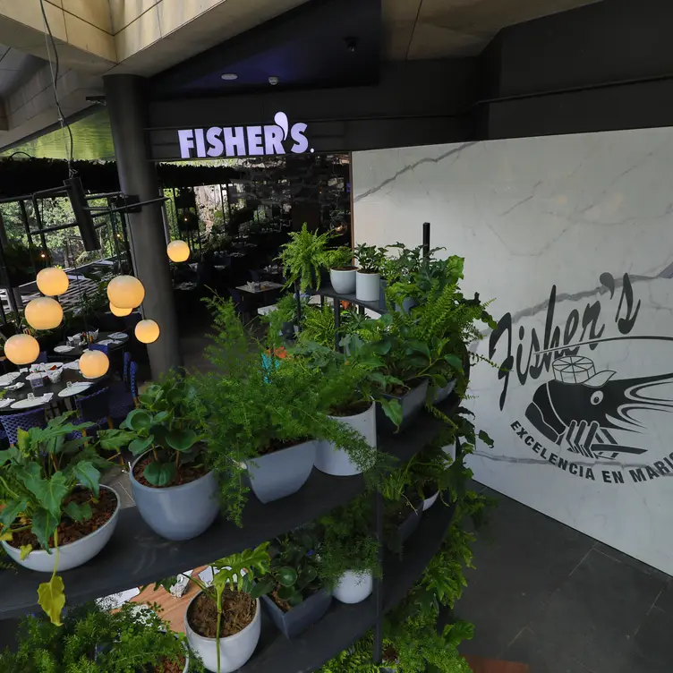 Fisher's - Oasis CDMX Ciudad de México