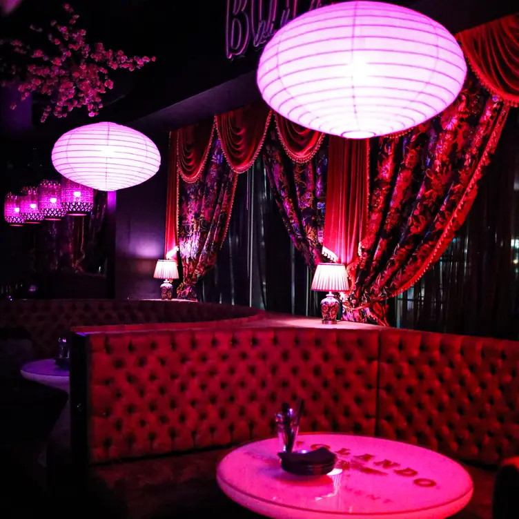 Miyako Lounge，AU-QLDMaroochydore